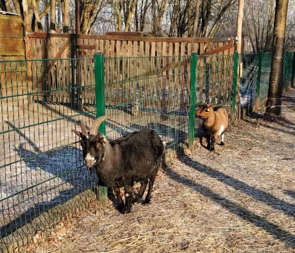 Richtungswechsel%20eV_1