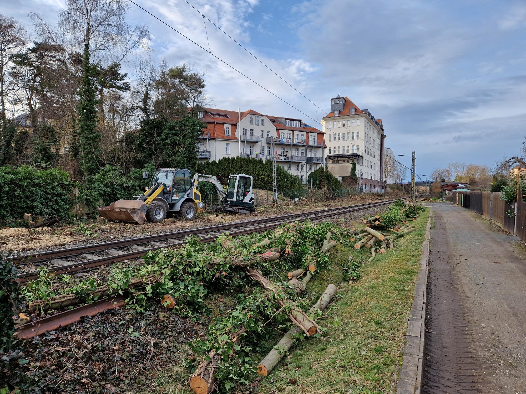 Baumfällarbeiten Markkleberg © DB E&C / Albrecht Trusch Bild%2020_5-BA