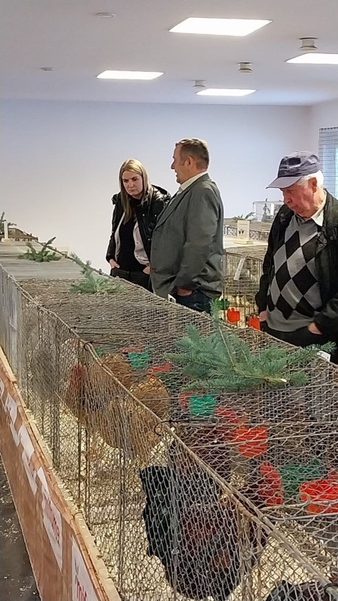 RGZV%20Ammelshain%20e.V.%202