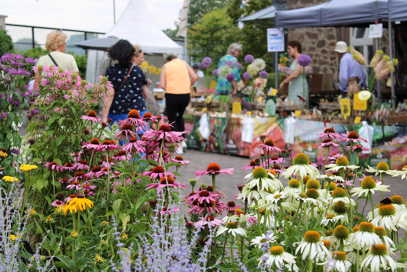 Schloss- & Gartenmarkt im Schloss Trebsen Trebsen2
